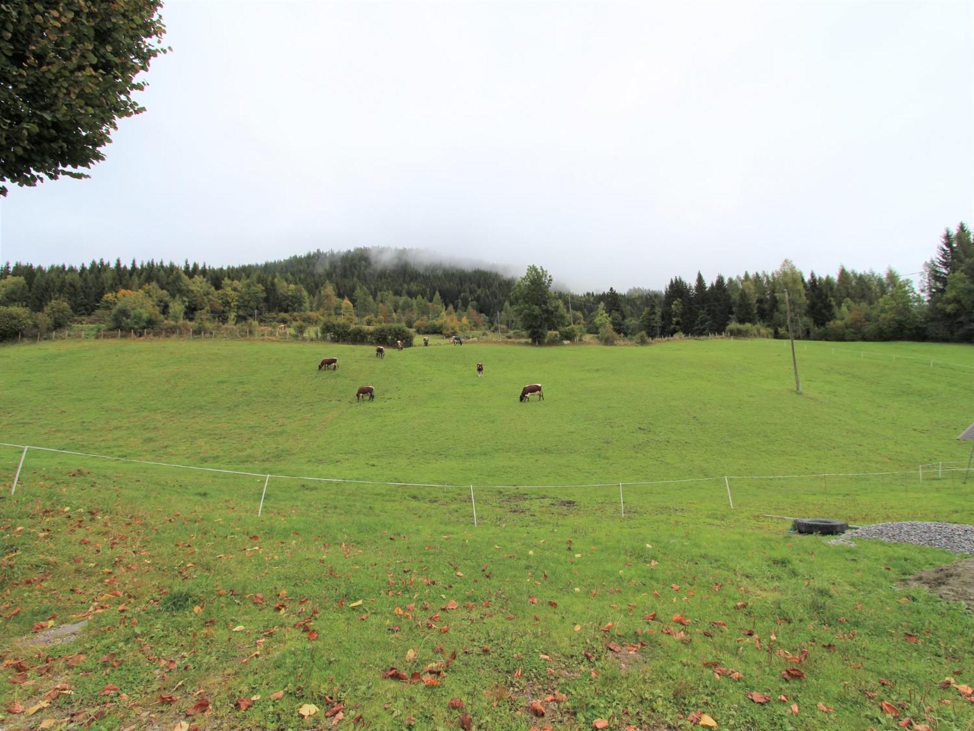Characterful Old Farmhouse With 4 Apartments In Fresach Carinthia With Garden Dış mekan fotoğraf